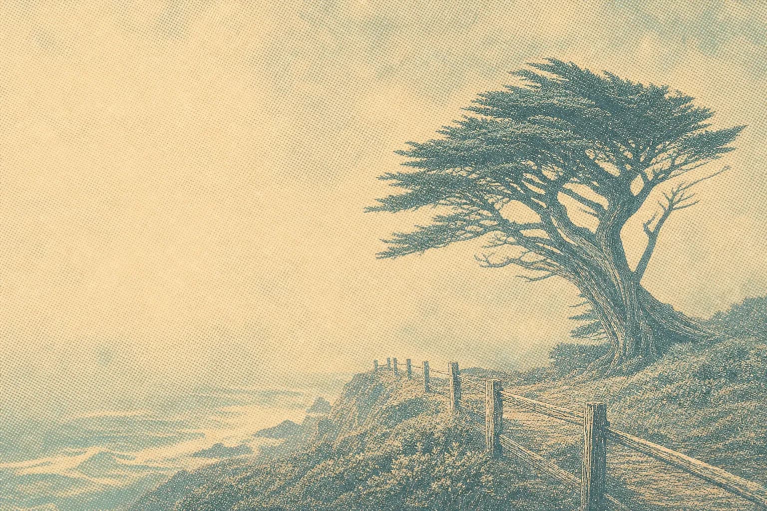 Half Moon Bay in the fog, cypress and coast